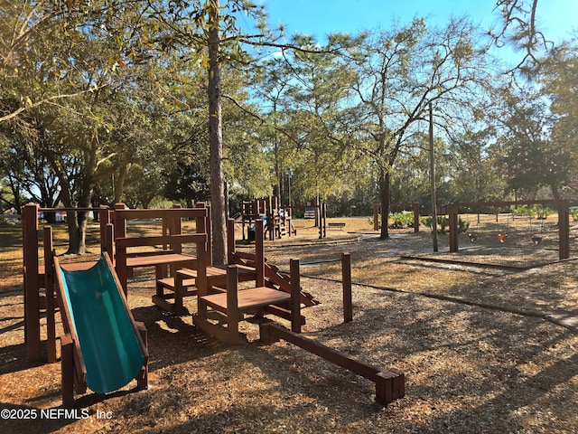 view of jungle gym