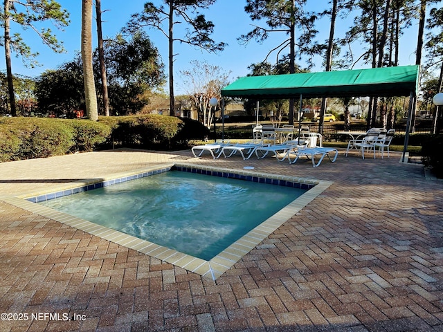 view of swimming pool featuring a patio