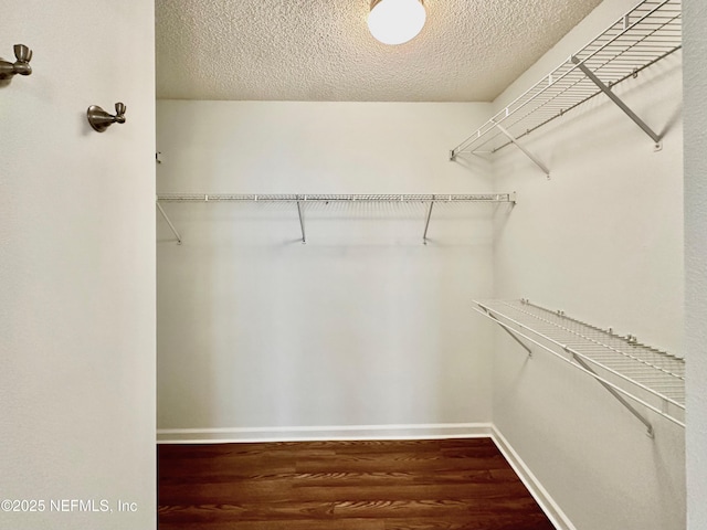 walk in closet featuring dark hardwood / wood-style floors