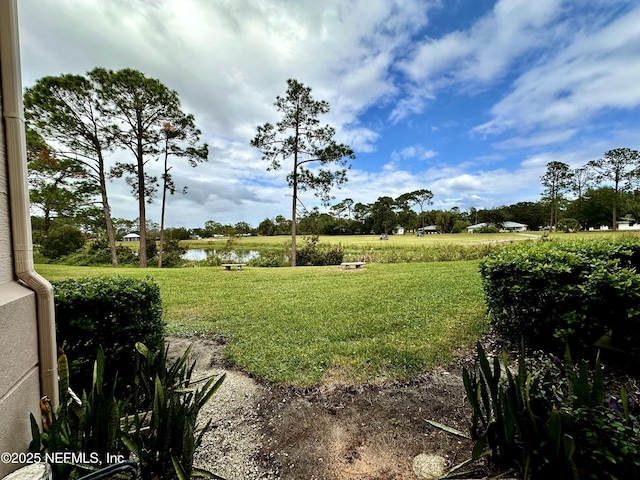 view of yard with a water view