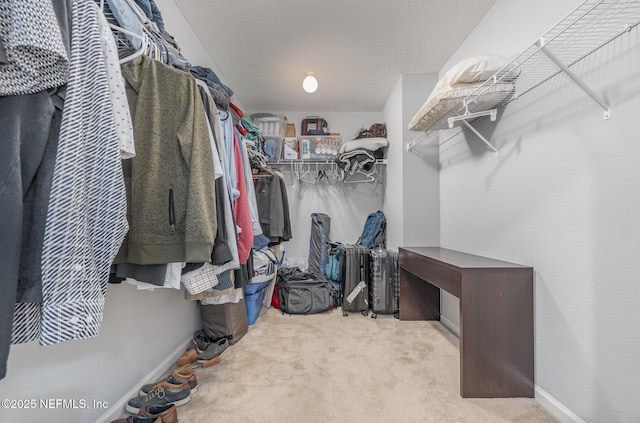 spacious closet with light colored carpet