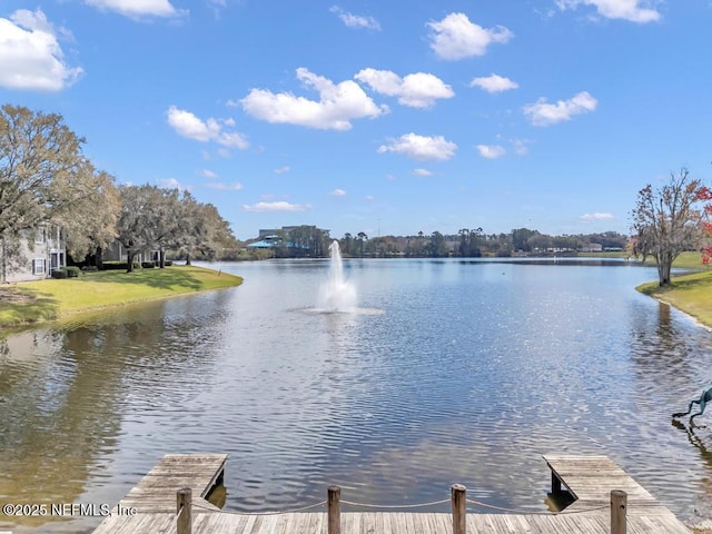 water view featuring a dock