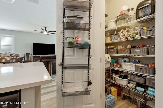 view of pantry