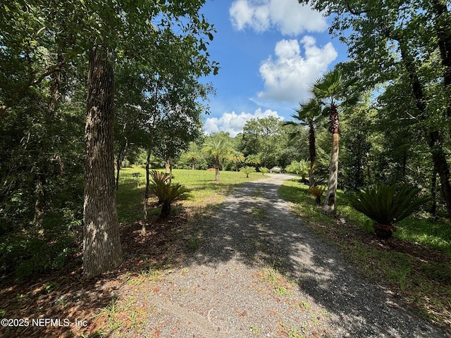 4170 Steven Arthur Dr, Middleburg FL, 32068 land for sale