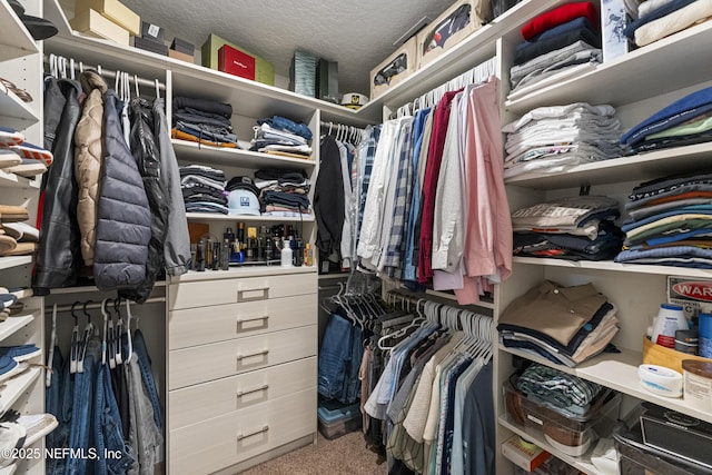 view of spacious closet