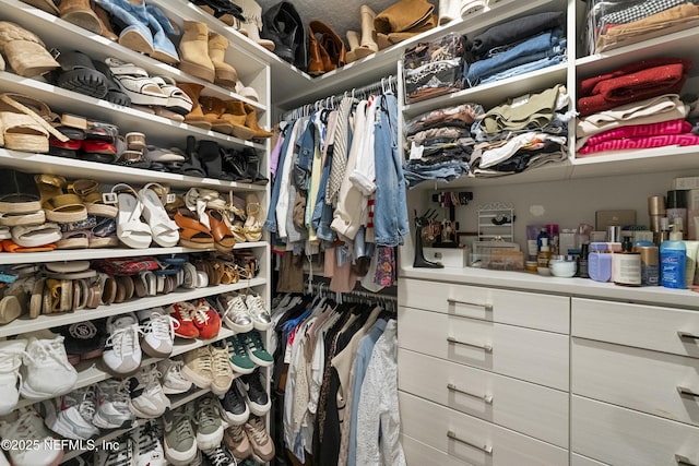 view of spacious closet