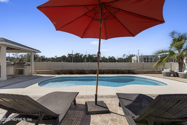 view of swimming pool with exterior kitchen and a patio