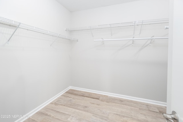 walk in closet featuring light hardwood / wood-style flooring