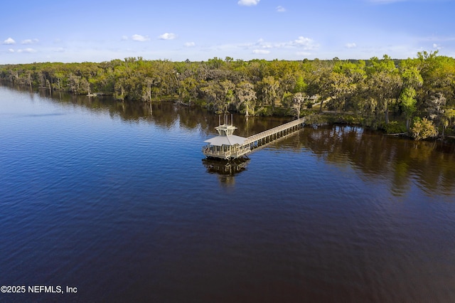 property view of water featuring a boat dock