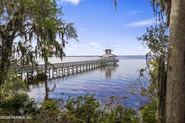 dock area featuring a water view