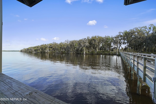 dock area featuring a water view