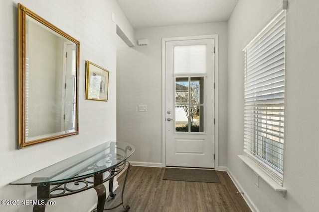 doorway to outside with dark hardwood / wood-style flooring