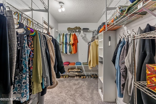 walk in closet featuring carpet