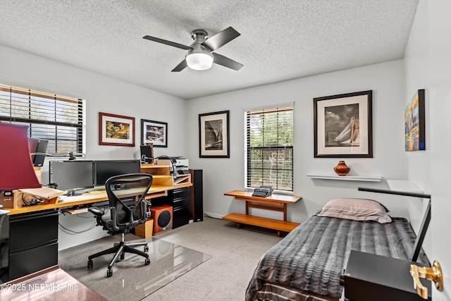 office space with ceiling fan, a textured ceiling, and carpet flooring