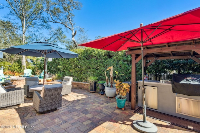 view of patio / terrace with area for grilling and an outdoor living space