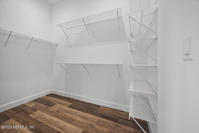 walk in closet with dark wood-type flooring