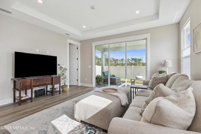 living room featuring wood-type flooring and a raised ceiling