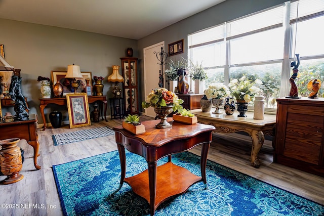 interior space featuring hardwood / wood-style flooring