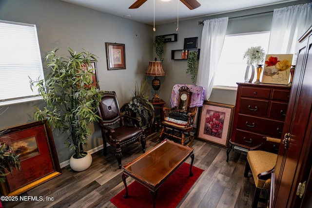 living area featuring ceiling fan and dark hardwood / wood-style floors