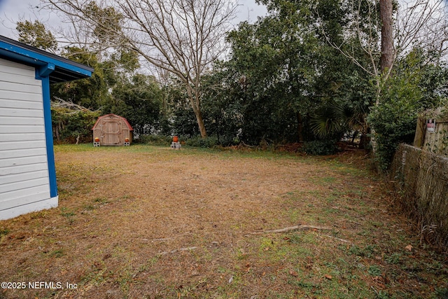 view of yard with a storage unit