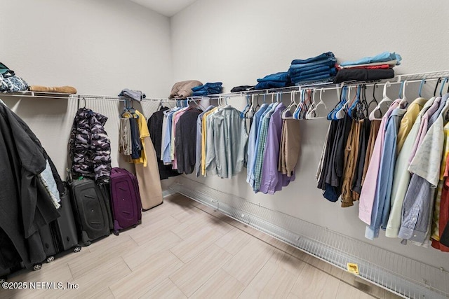 view of spacious closet