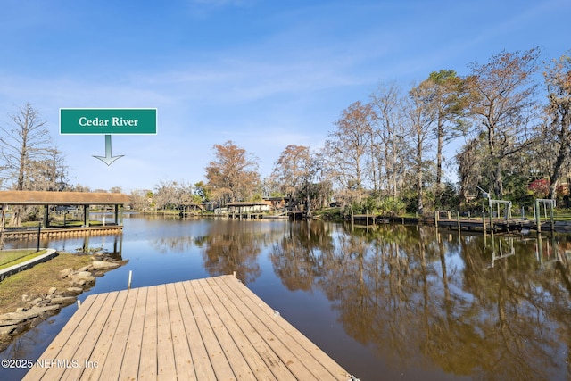 dock area featuring a water view