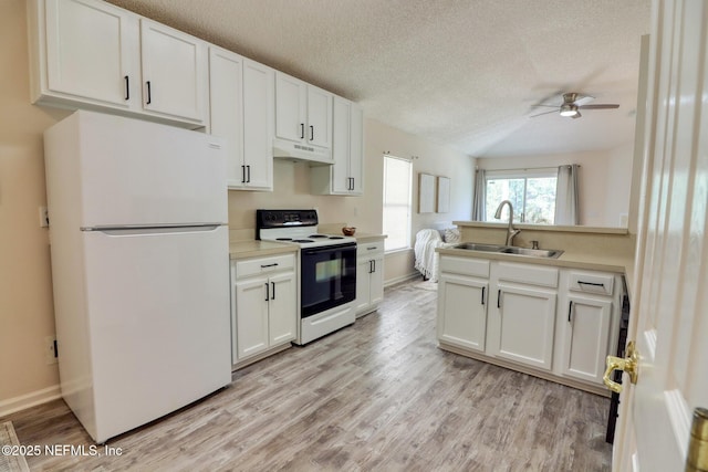 kitchen featuring sink, white appliances, white cabinets, and light wood-type flooring