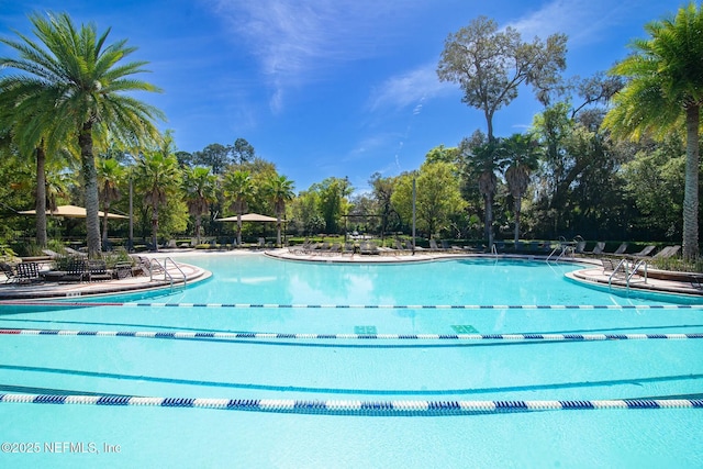 view of swimming pool