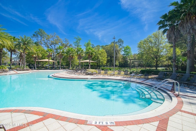 view of swimming pool featuring a patio