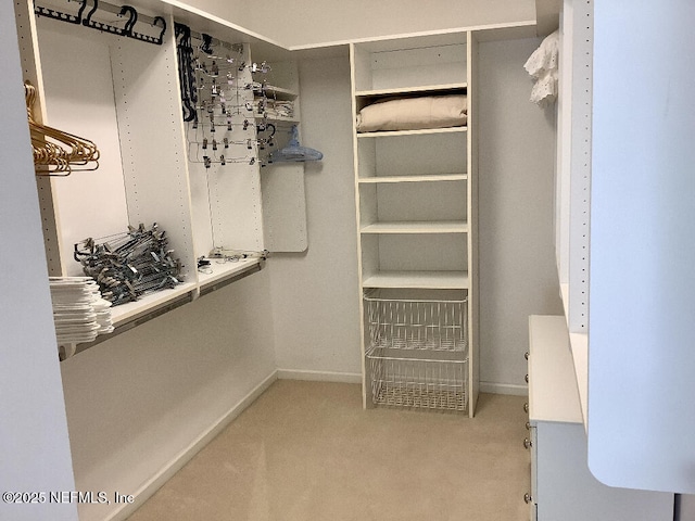 spacious closet featuring light colored carpet