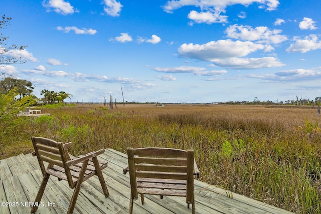 1691 Marshside Dr, Jacksonville Beach, FL 32250 - photo 41