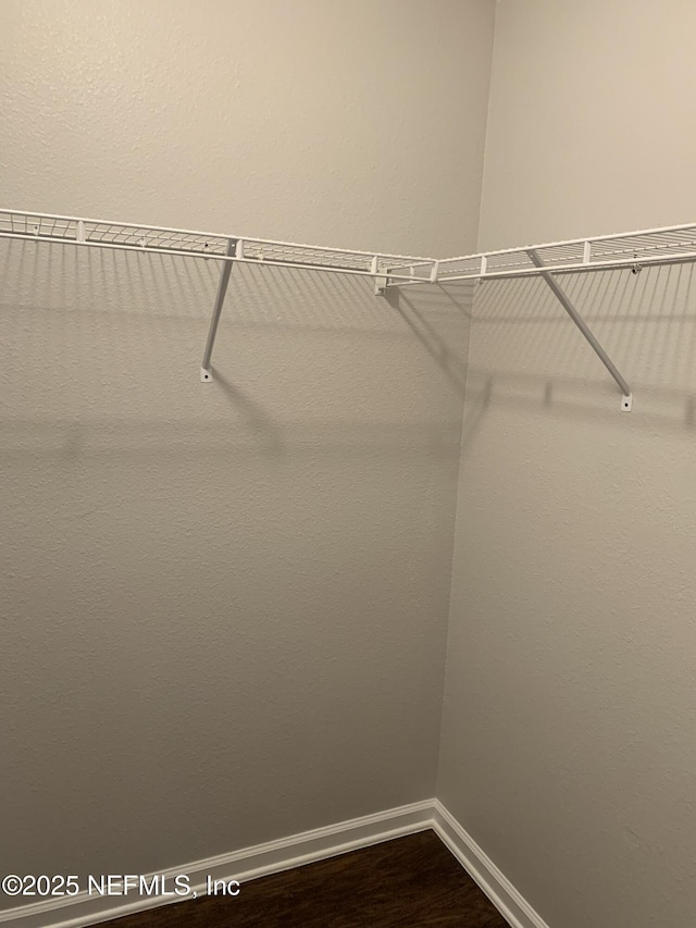 spacious closet featuring hardwood / wood-style floors