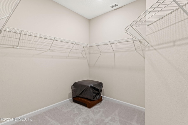 911 Colon Ln, Jacksonville, FL 32218 - photo 17