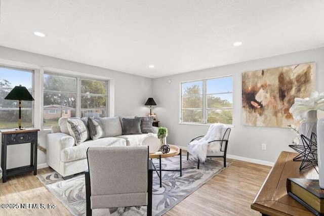 living room featuring light hardwood / wood-style flooring