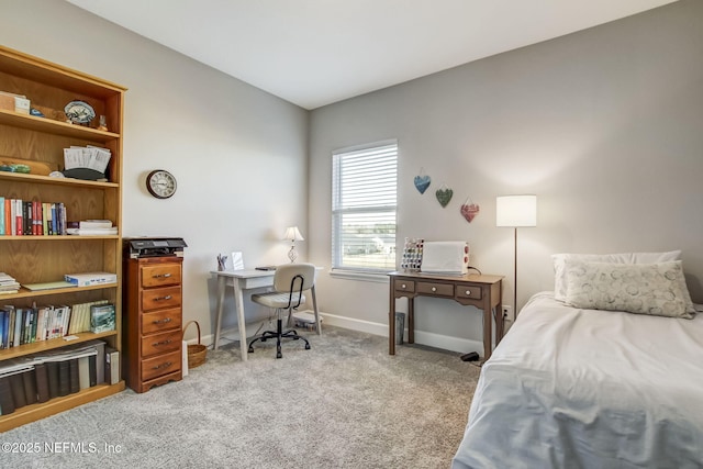 85248 Berryessa Way, Fernandina Beach, FL 32034 - view of carpeted bedroom