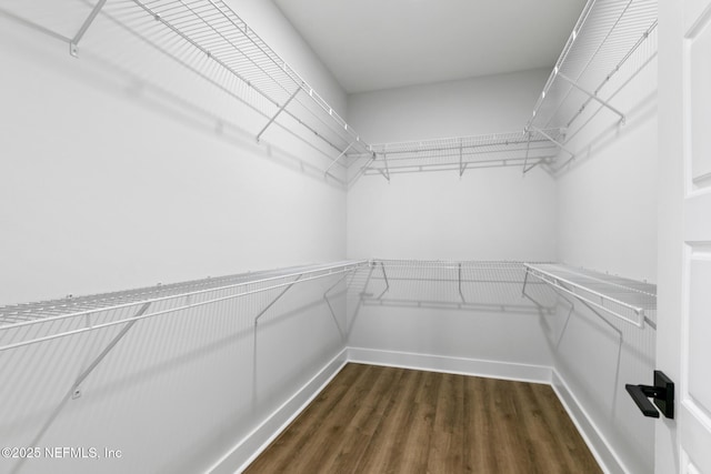 85034 Southern Creek Blvd, Fernandina Beach, FL 32034 - walk in closet featuring dark hardwood / wood-style flooring