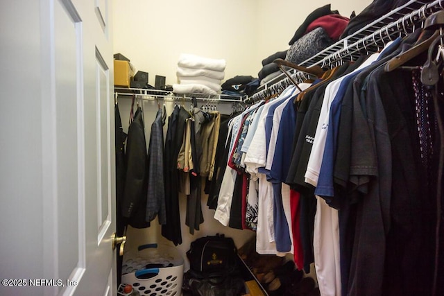 view of spacious closet