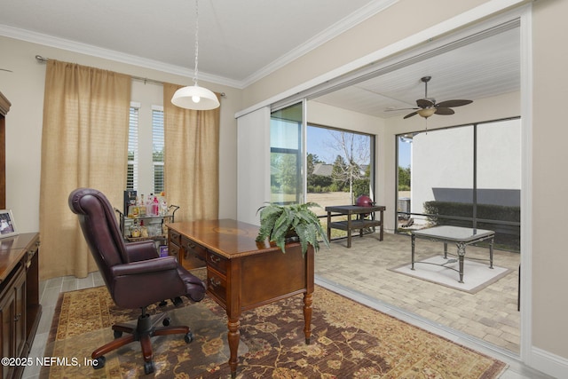 35 Cobbler Trl, Jacksonville, FL 32081 - photo 14