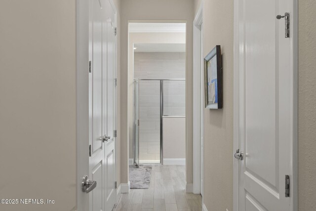 35 Cobbler Trl, Jacksonville, FL 32081 - photo 21