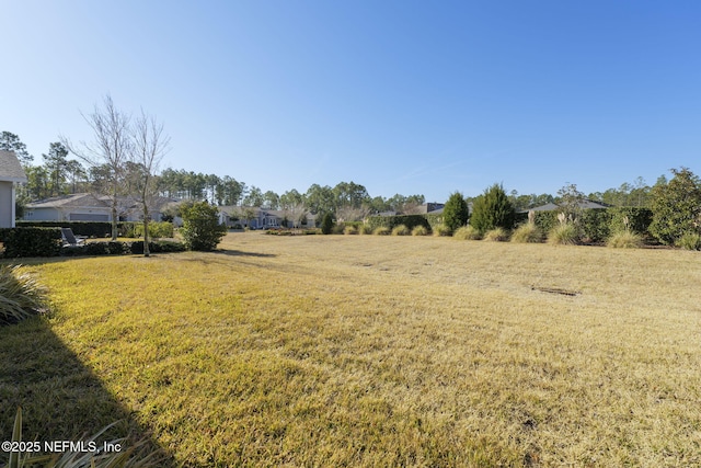 35 Cobbler Trl, Jacksonville, FL 32081 - photo 32
