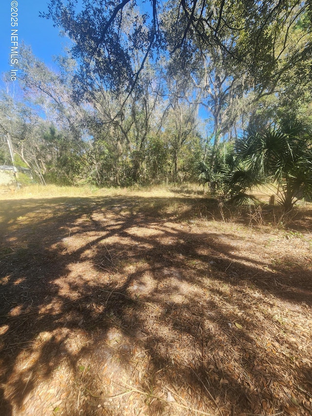 210 Hoot Owl Rd, Satsuma FL, 32189 land for sale