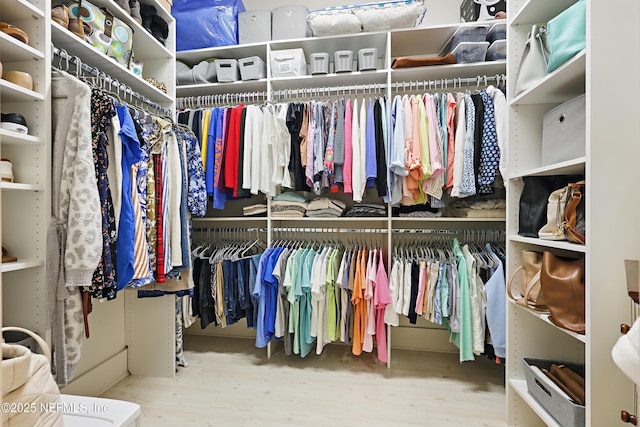 spacious closet featuring wood finished floors