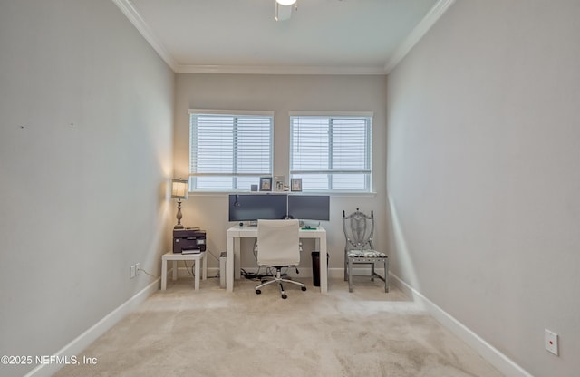 unfurnished office featuring crown molding and light carpet