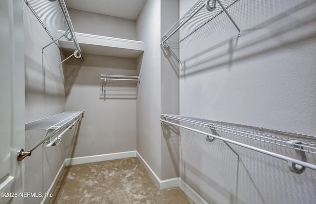 view of walk in closet