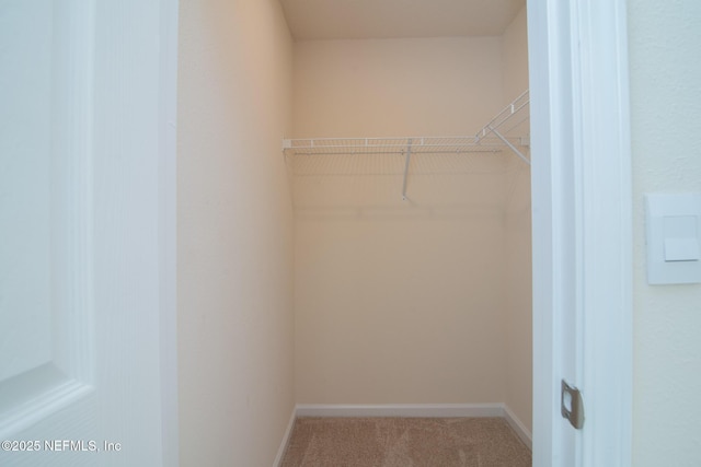 spacious closet with carpet floors