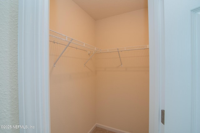 view of walk in closet