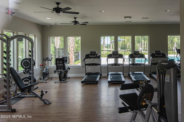 exercise room with hardwood / wood-style floors and a wealth of natural light