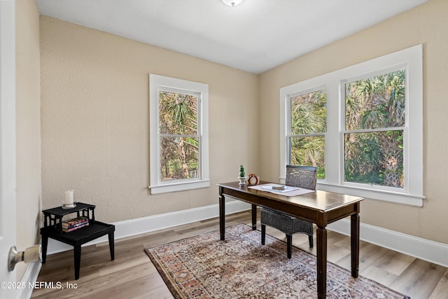 office with light wood finished floors, baseboards, a wealth of natural light, and a textured wall