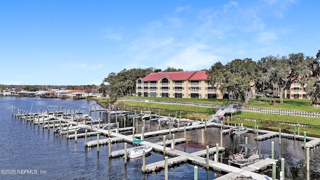 dock area with a water view