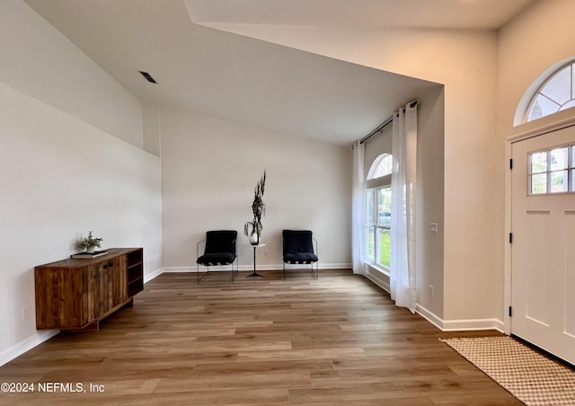 entryway with wood-type flooring and high vaulted ceiling